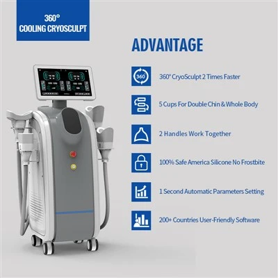 Dikey Cryolipoliz Yağ Donma Makinesi 5 Güçlü Vücut Zayıflama Kolları